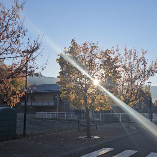 Solstice d’hiver : Hibernation, froid et faible production électrique